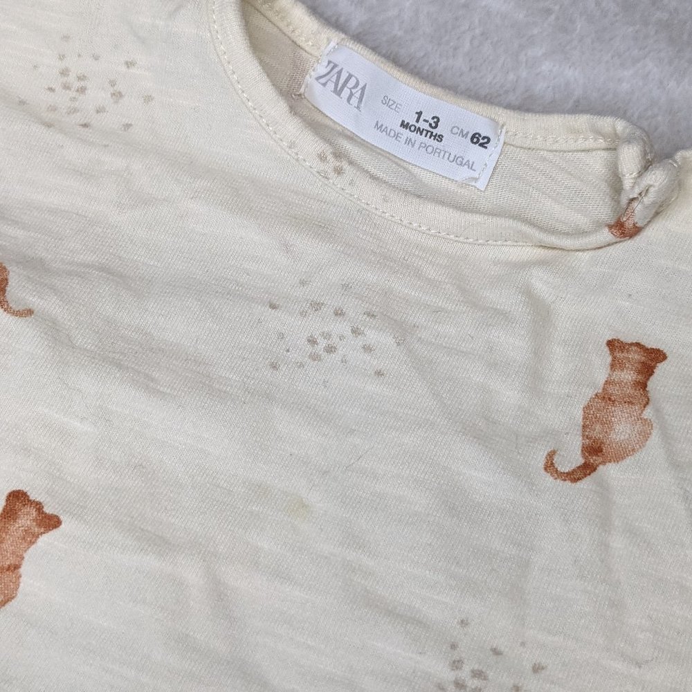 Zara Long Sleeve T-Shirts (Set of 2)